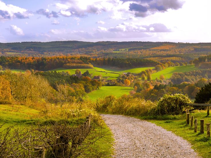 Surrey Hills