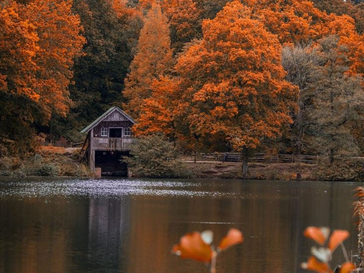 The Boathouse next to the lake at Winkworth Arboretum, surrounded by autumnal trees.