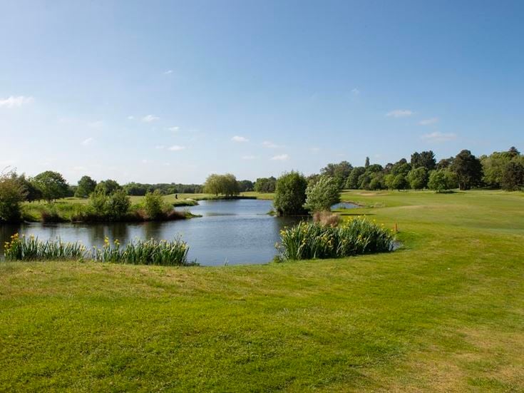 Golf course and pond surrounded by greenery