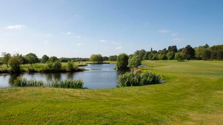 Golf course and pond surrounded by greenery