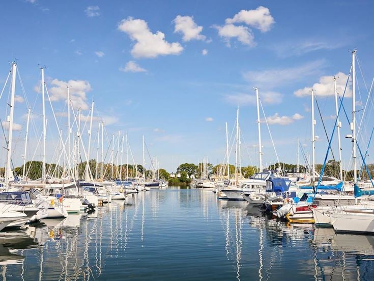 a marina full of boats