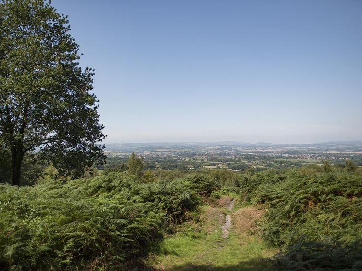 A walking path on Blackdown Hills with a view of the countryside.
