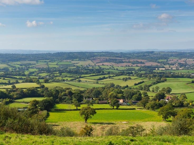 a landscape with trees and grass