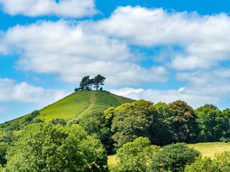 Colmer's Hill in Dorset