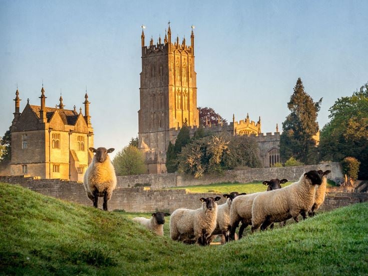 A group of sheep on a grassy mound with a Church in the background in Chipping Camden, Gloucestershire.