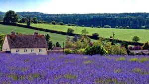 a house in a field of flowers
