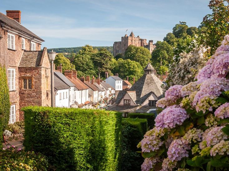 a group of houses in Dunster village with flowering bushes in front of them with Dunster Castle in the distance