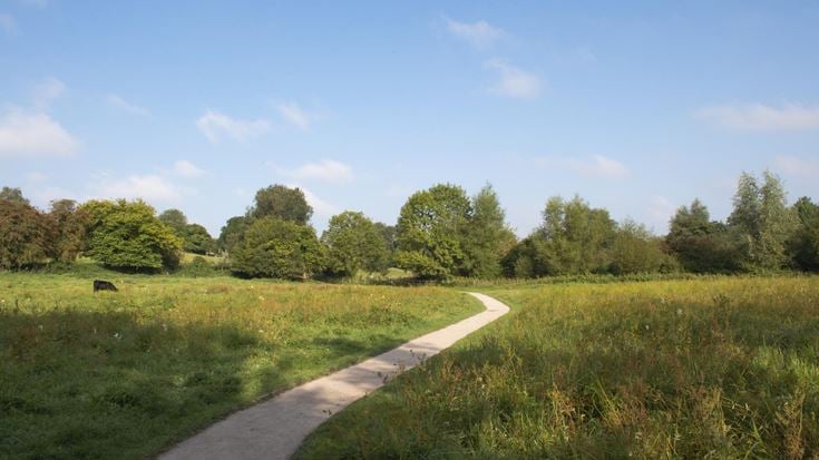A countryside walkway at Smallbrook Meadows Nature Reserve, surrounded by grass and trees, with one black cow grazing.