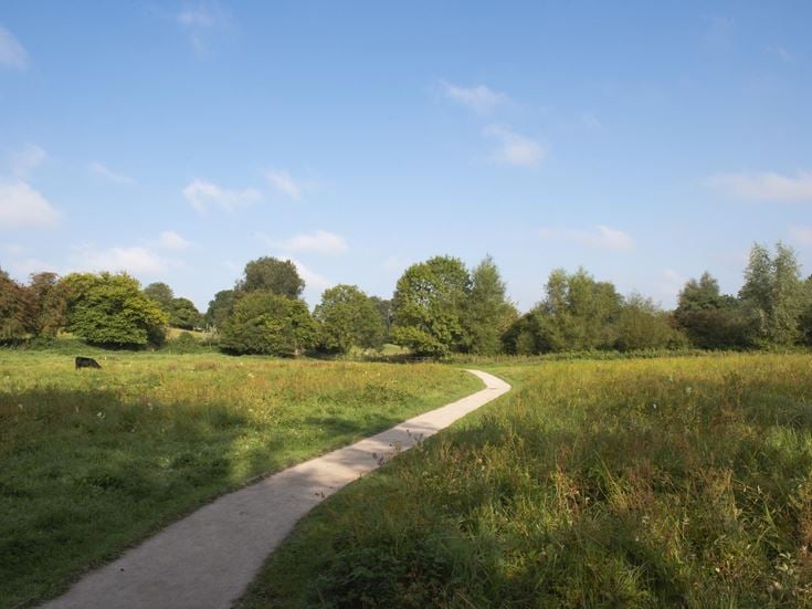 A countryside walkway at Smallbrook Meadows Nature Reserve, surrounded by grass and trees, with one black cow grazing.