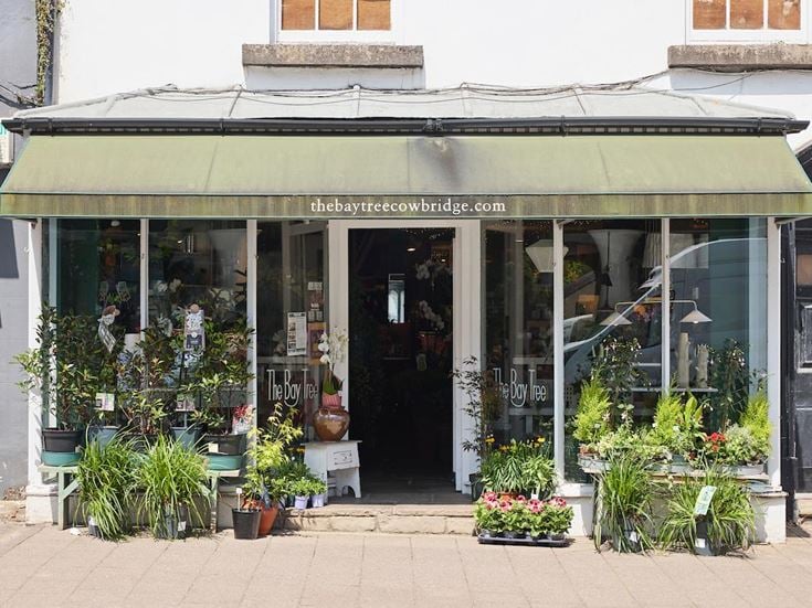 a building with plants in the front