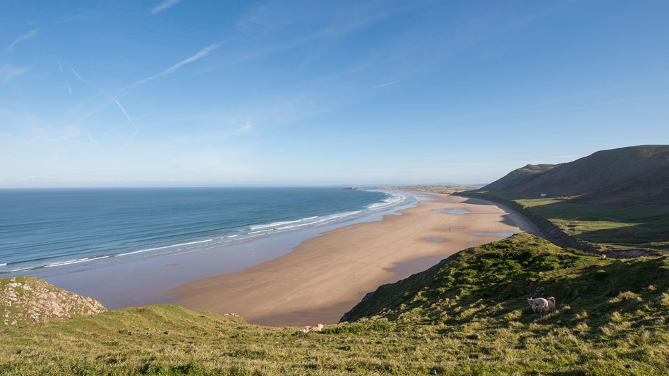 a beach with a body of water