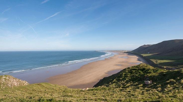 a beach with a body of water