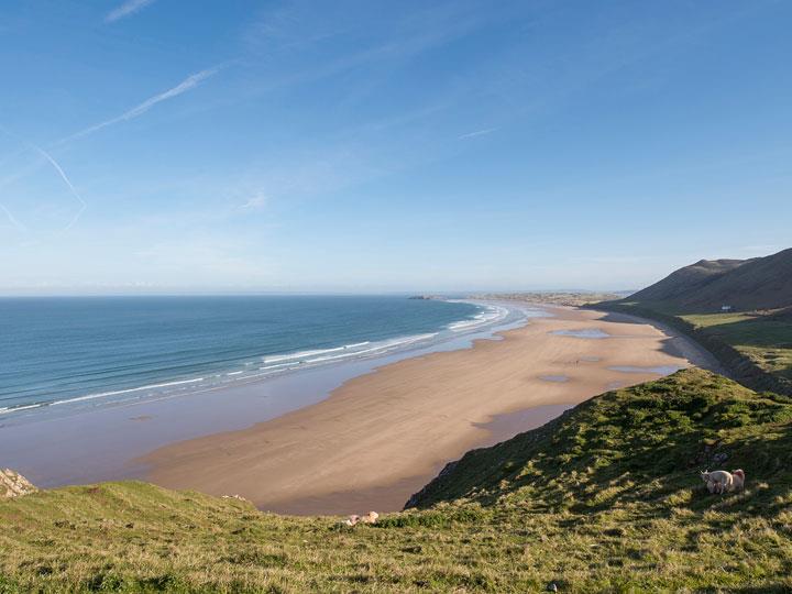 a beach with a body of water