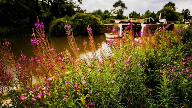 Hatton Locks grand union canal Warwickshire,