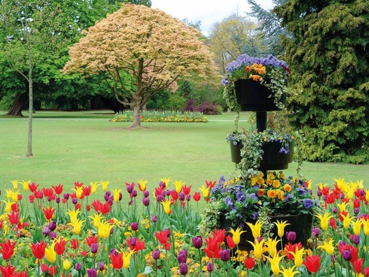 Tulips and other flower arrangements in a park in Edgbaston.