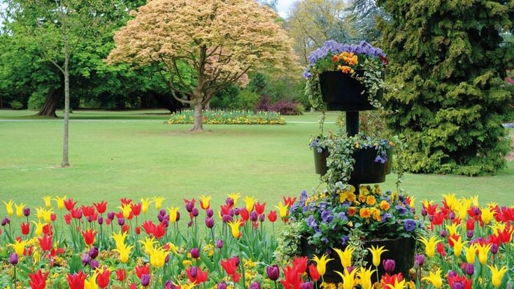 Tulips and other flower arrangements in a park in Edgbaston.