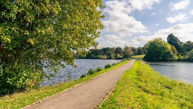 a river with trees and grass around it