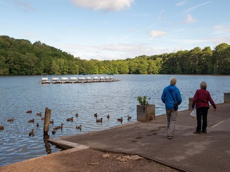 Two retirees walk alongside water populated with ducks in Boldmere Gate.