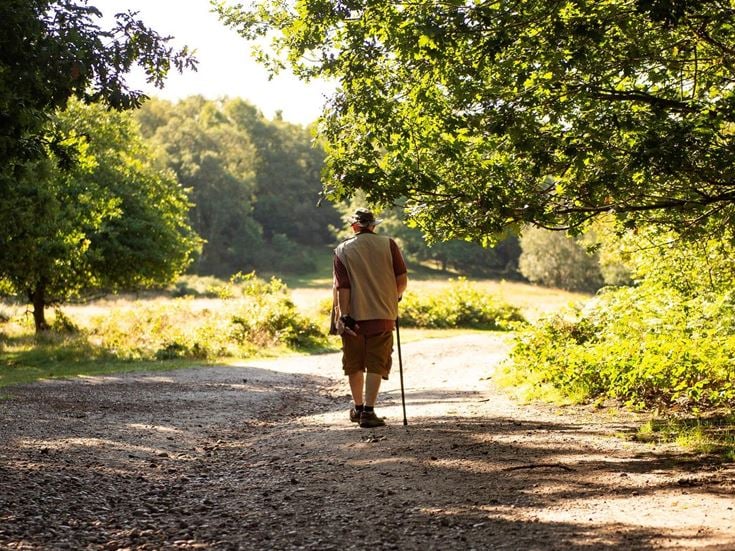 A retired man enjoys a leisurely stroll through a wooded area in Sutton Coldfield.