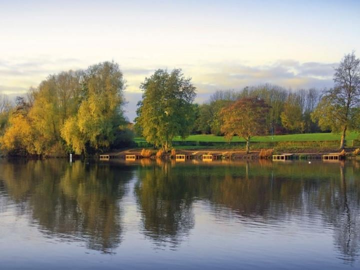 a body of water with trees around it