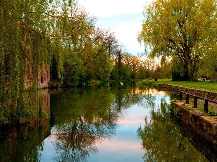 A peaceful canalside walking trail surrounded by willow trees.