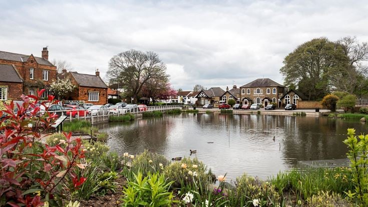 a pond with plants and buildings around it