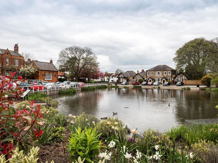 a pond with plants and buildings around it