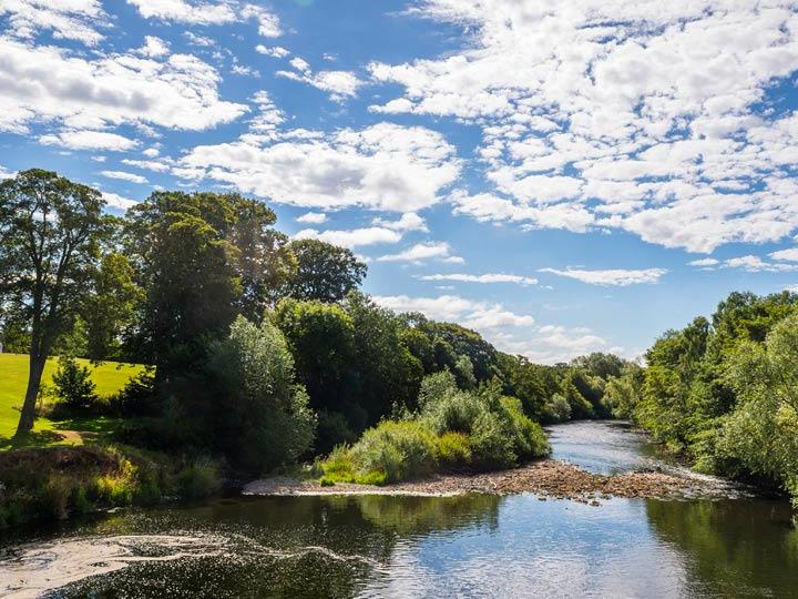 a river with trees and grass