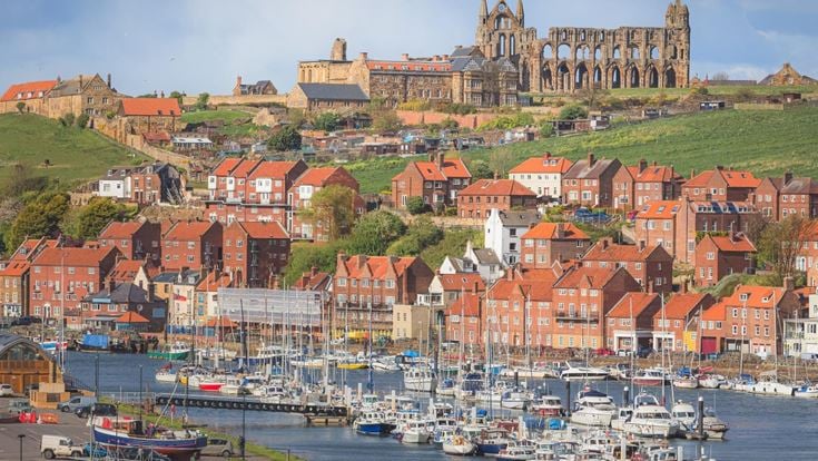 Whitby Marina, with many boats tied to a dock