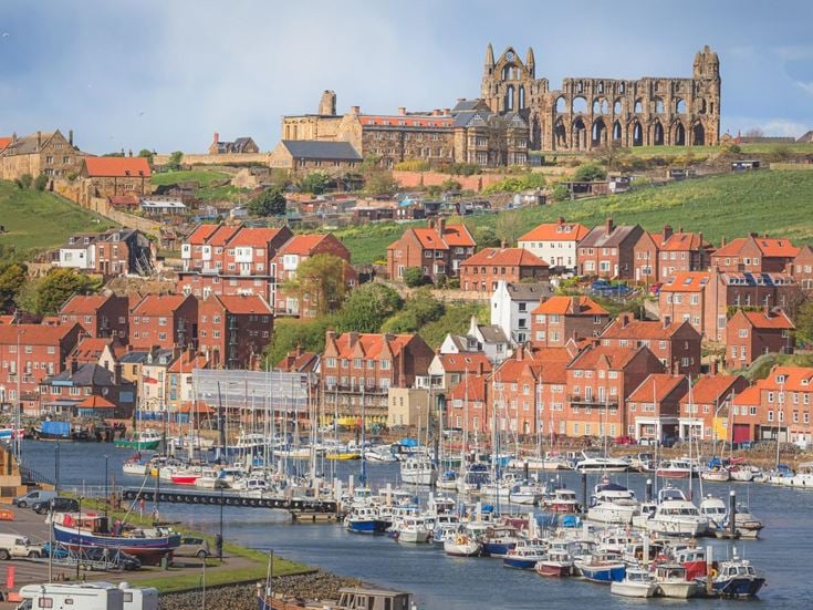 Whitby Marina, with many boats tied to a dock