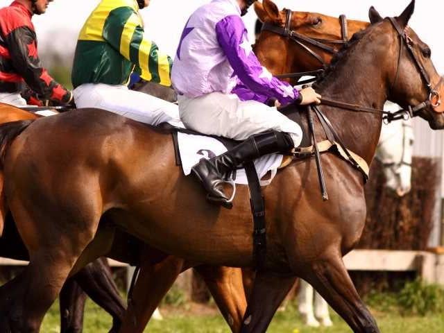 a jockey riding a horse