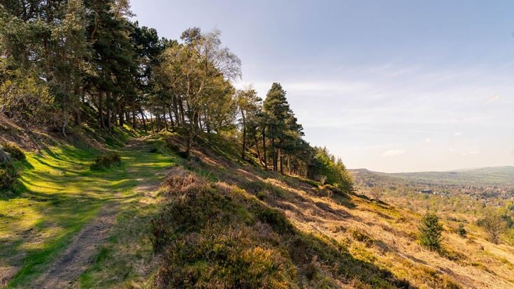 Local walking routes and scenic views near Burley in Wharfedale, West Yorkshire