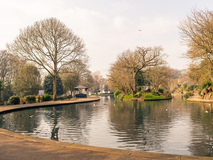 a flooded area with trees and a building in the background