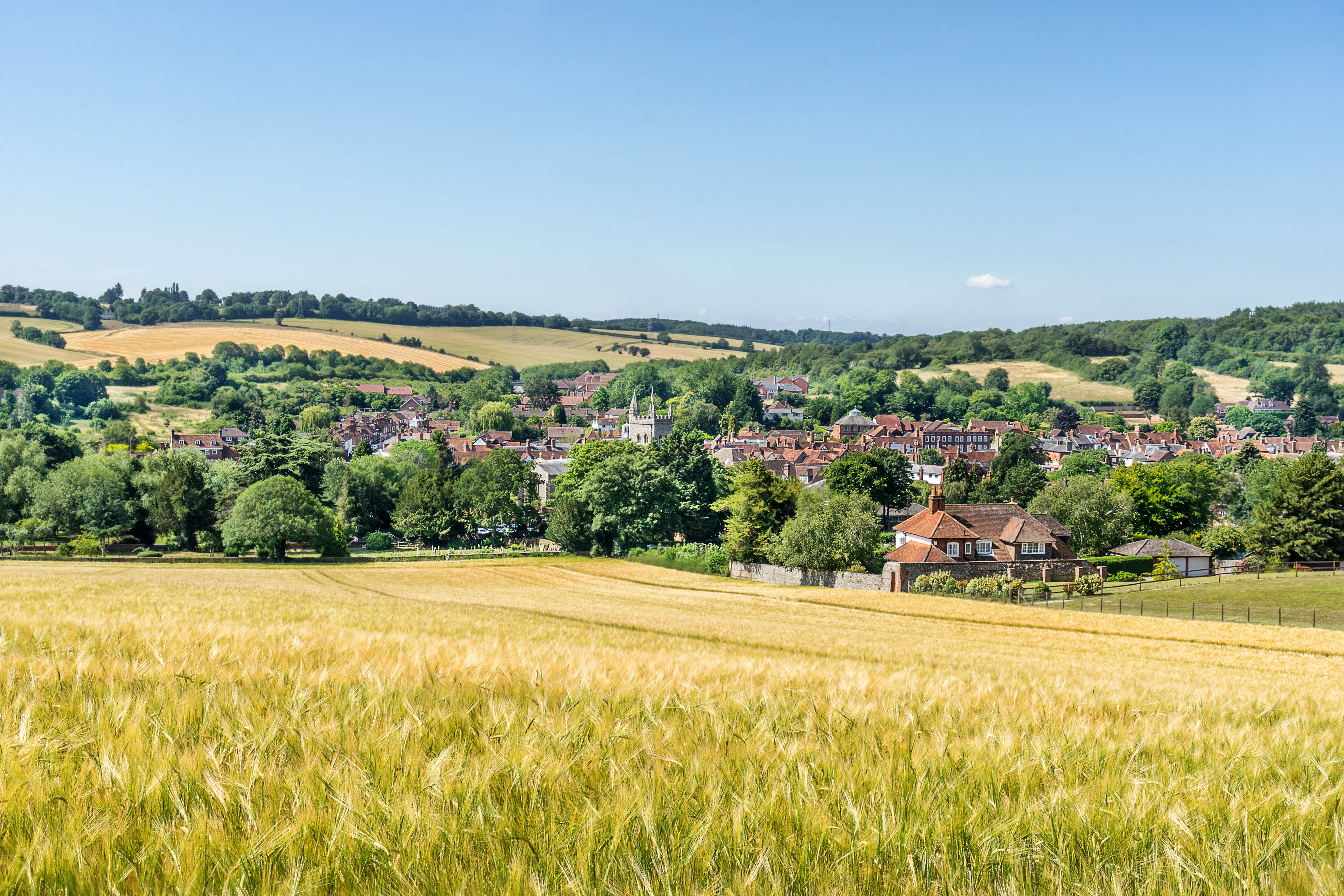 a field of grass with a house in the background
