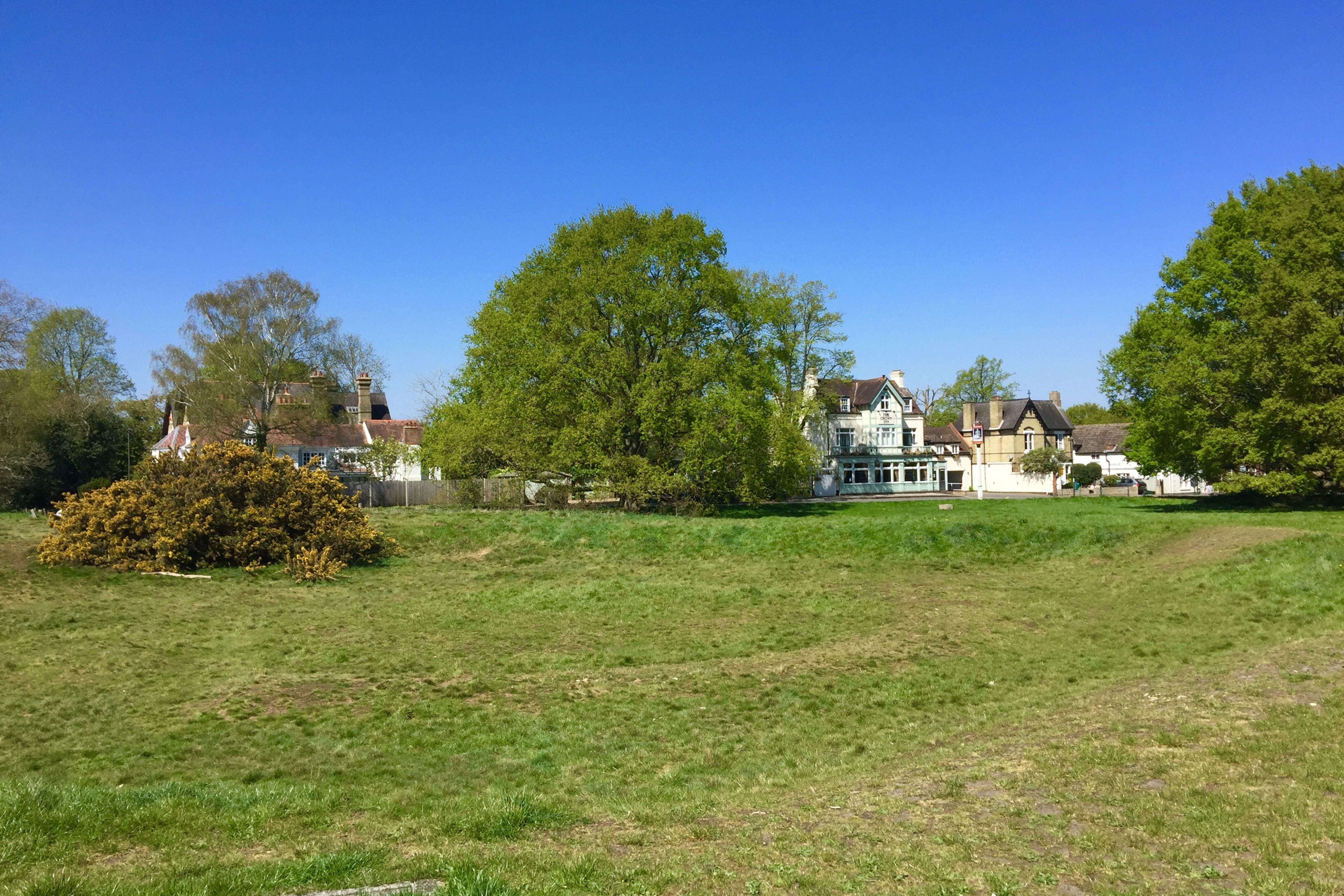 a grassy field with trees and houses in the background