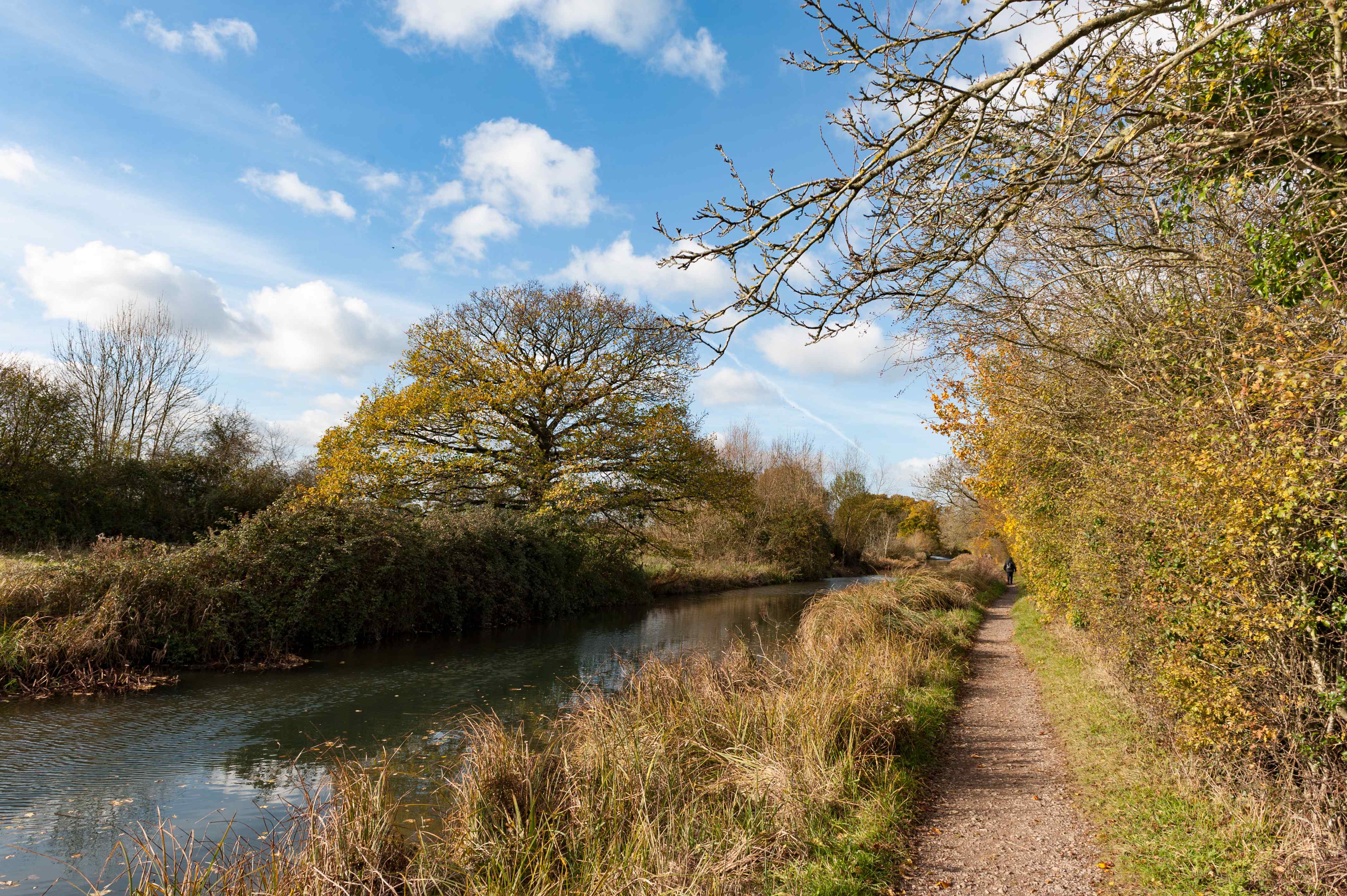 a path next to a river