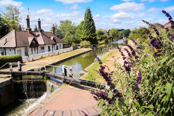 Grand Union Canal, Berkhampsted, Hertfordshire