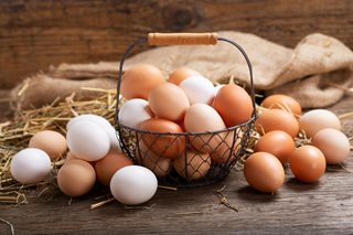 a basket of eggs