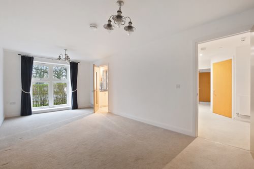 a room with a carpet and a window