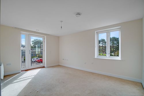 a room with a carpet and windows