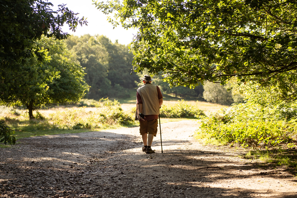 a man walking on a path with a stick