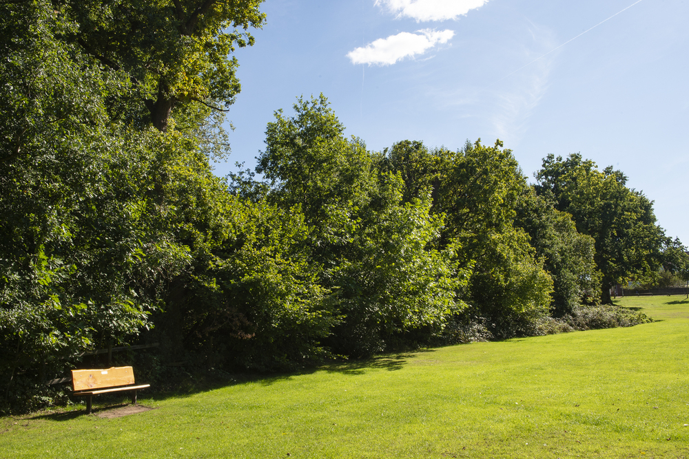 Retirement Homes for sale in Oakingham Place McCarthy Stone