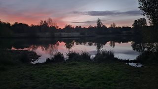 a body of water with grass and trees around it