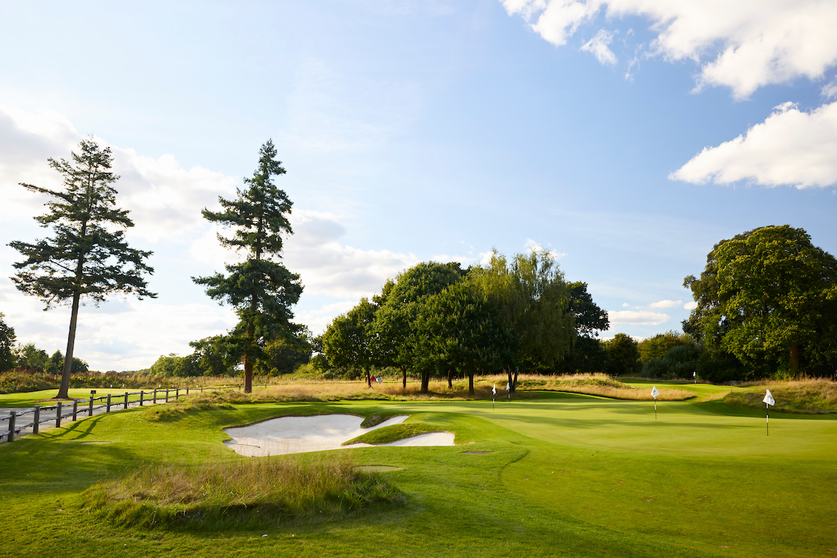 a golf course with trees