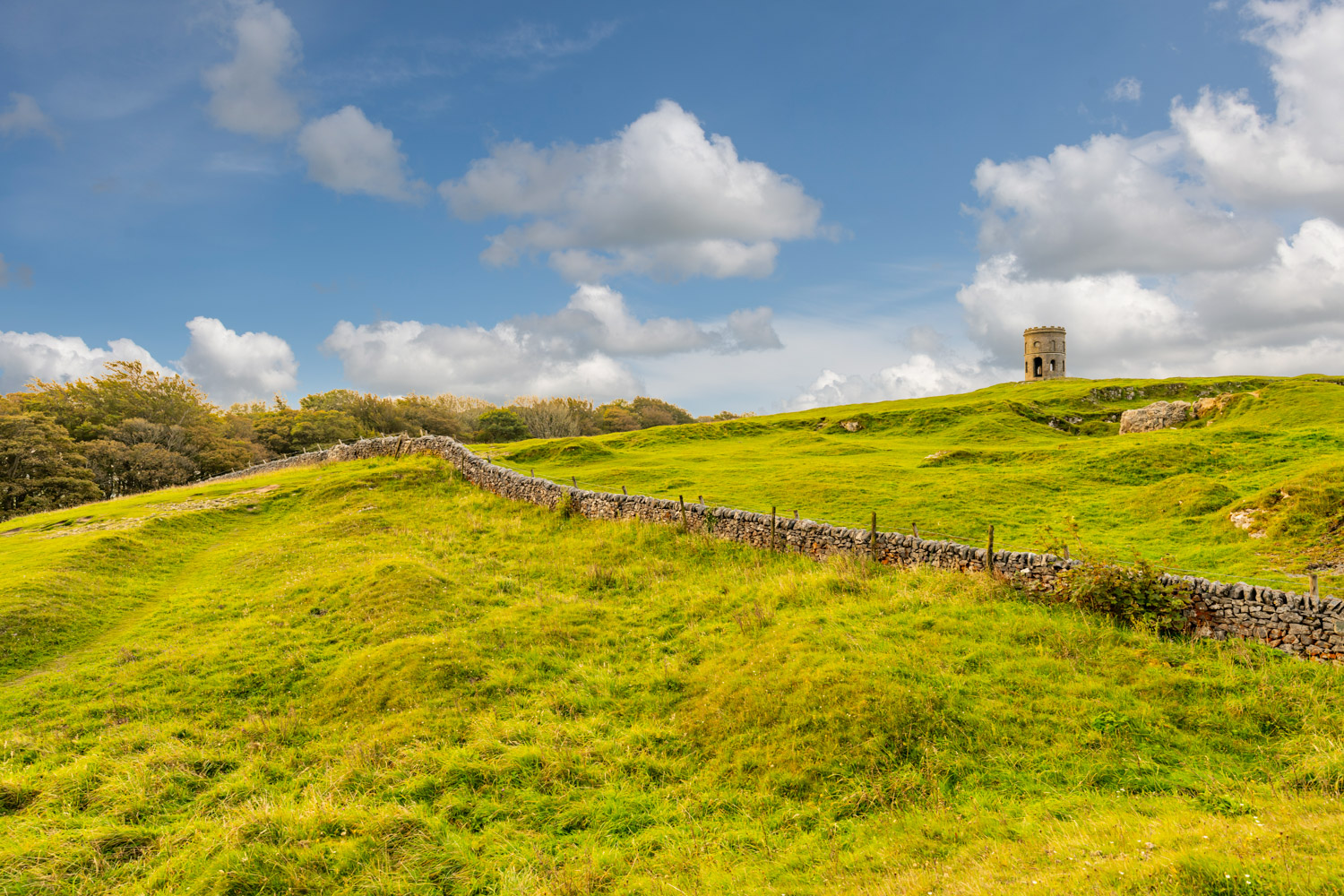 a fence on a grassy hill