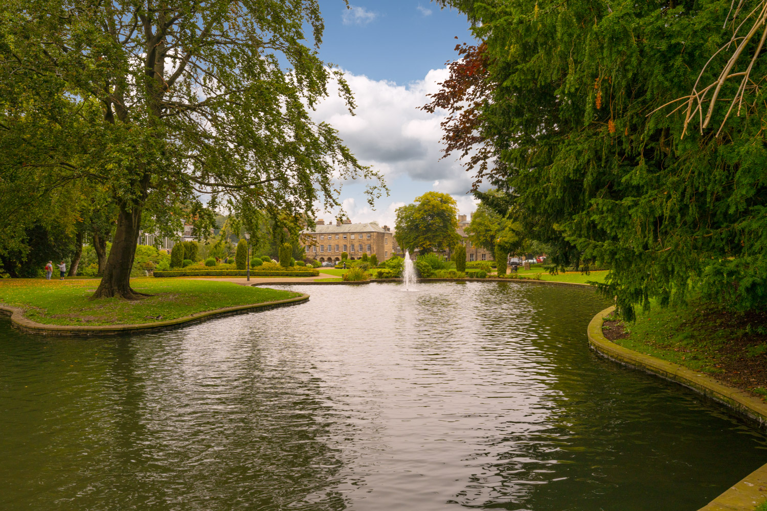 a body of water with trees and grass around it