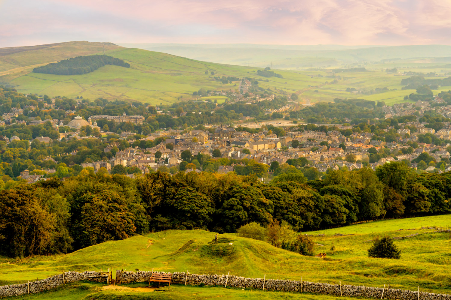 a landscape with trees and hills