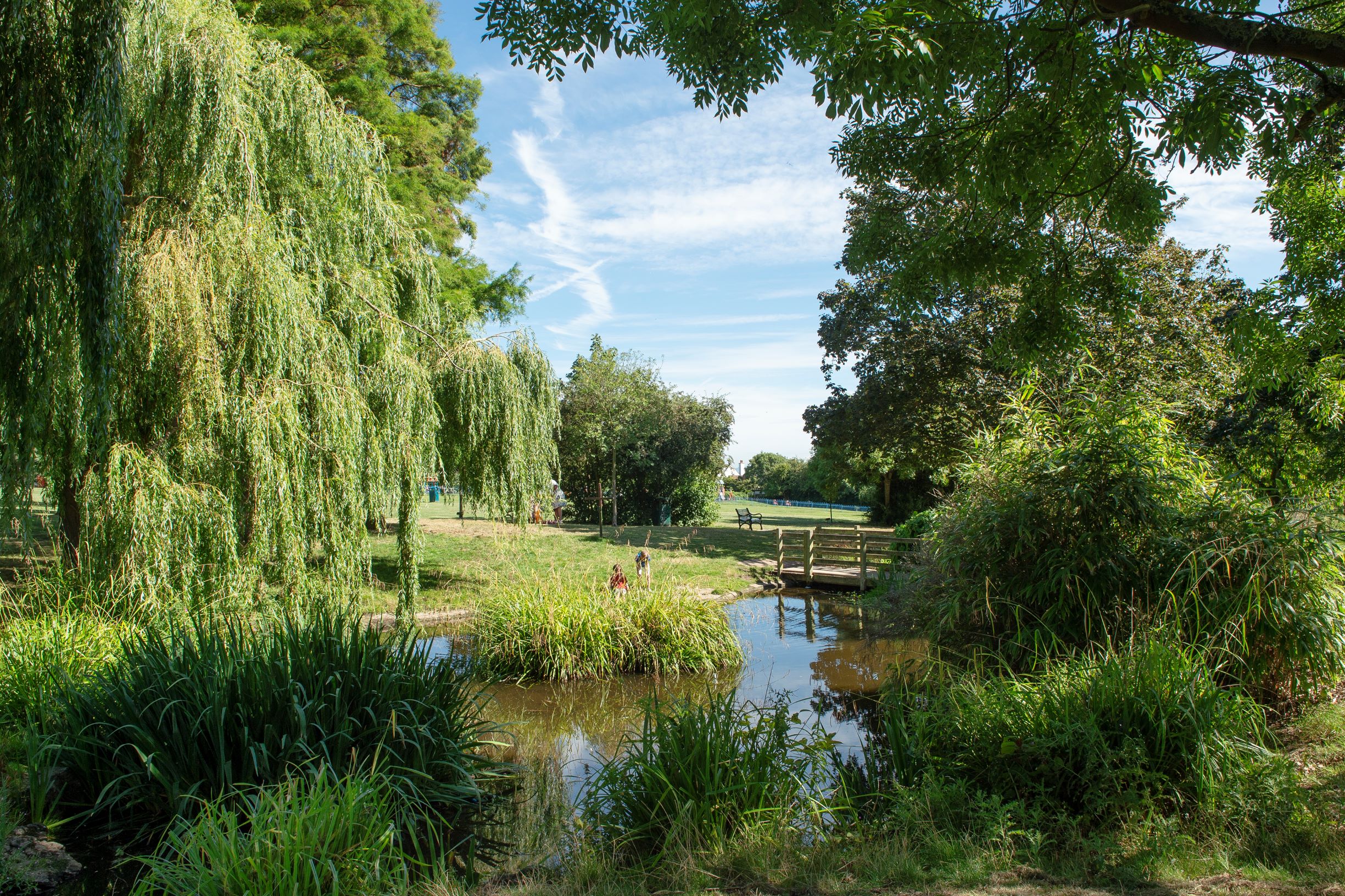 a small pond with a bridge