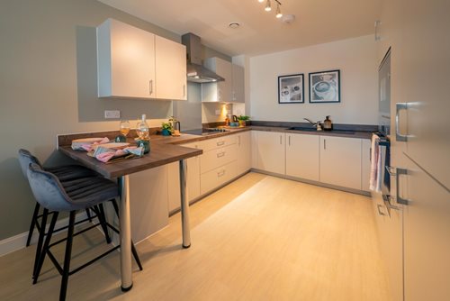 Walter House Kitchen