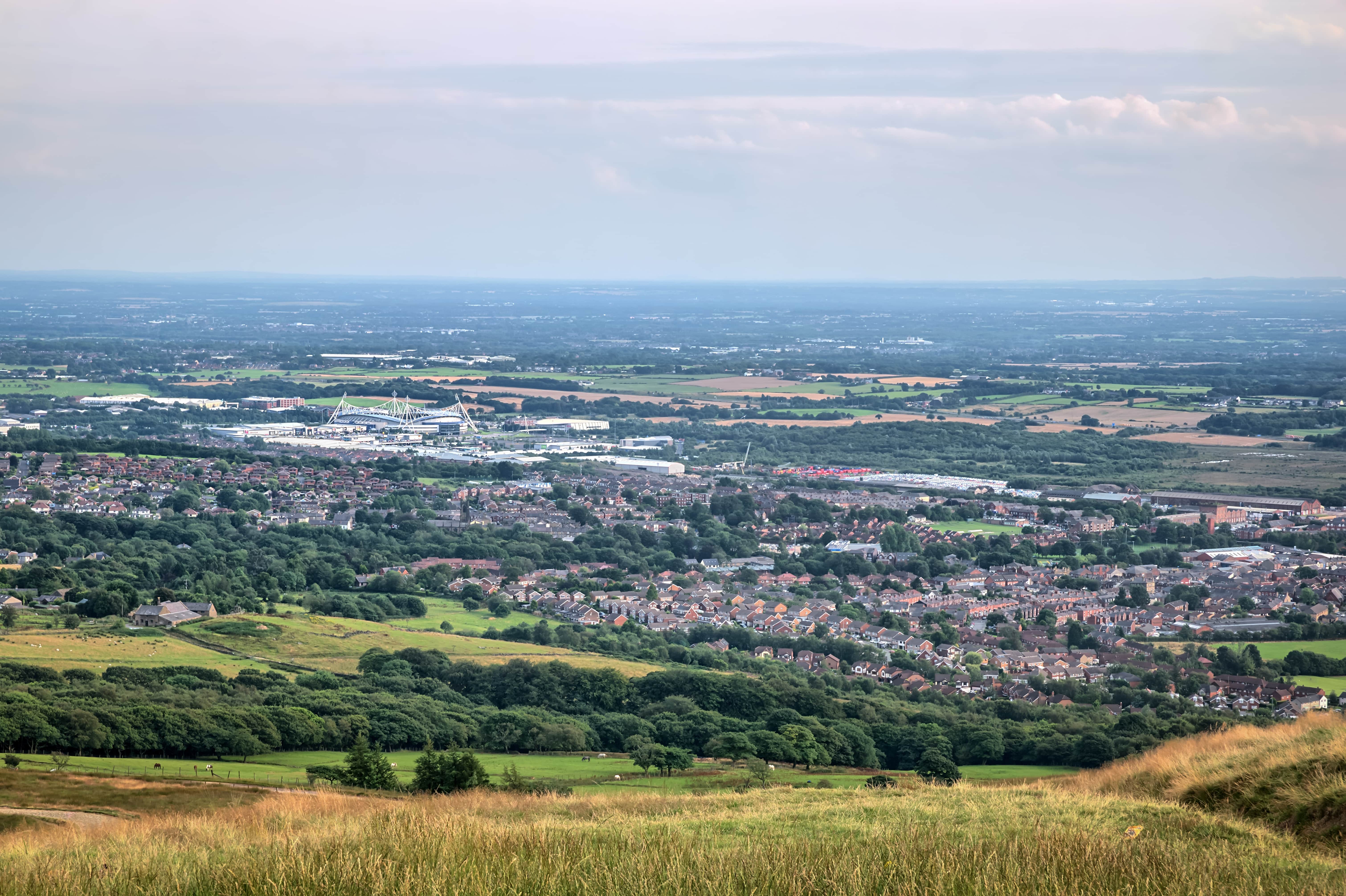 a landscape with trees and buildings